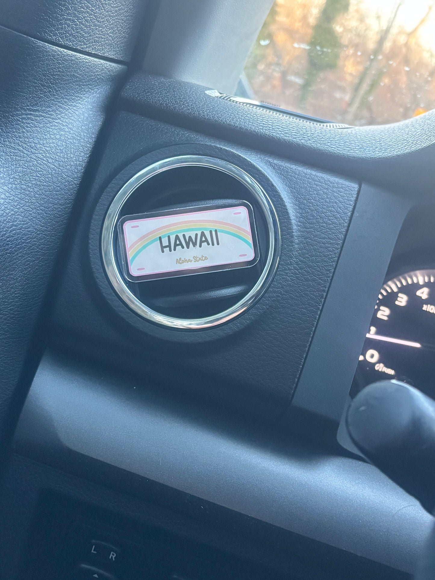 Shell Car Vent Clips, Unscented