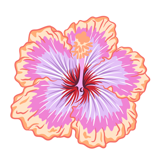 Hybrid Hibiscus, air freshener