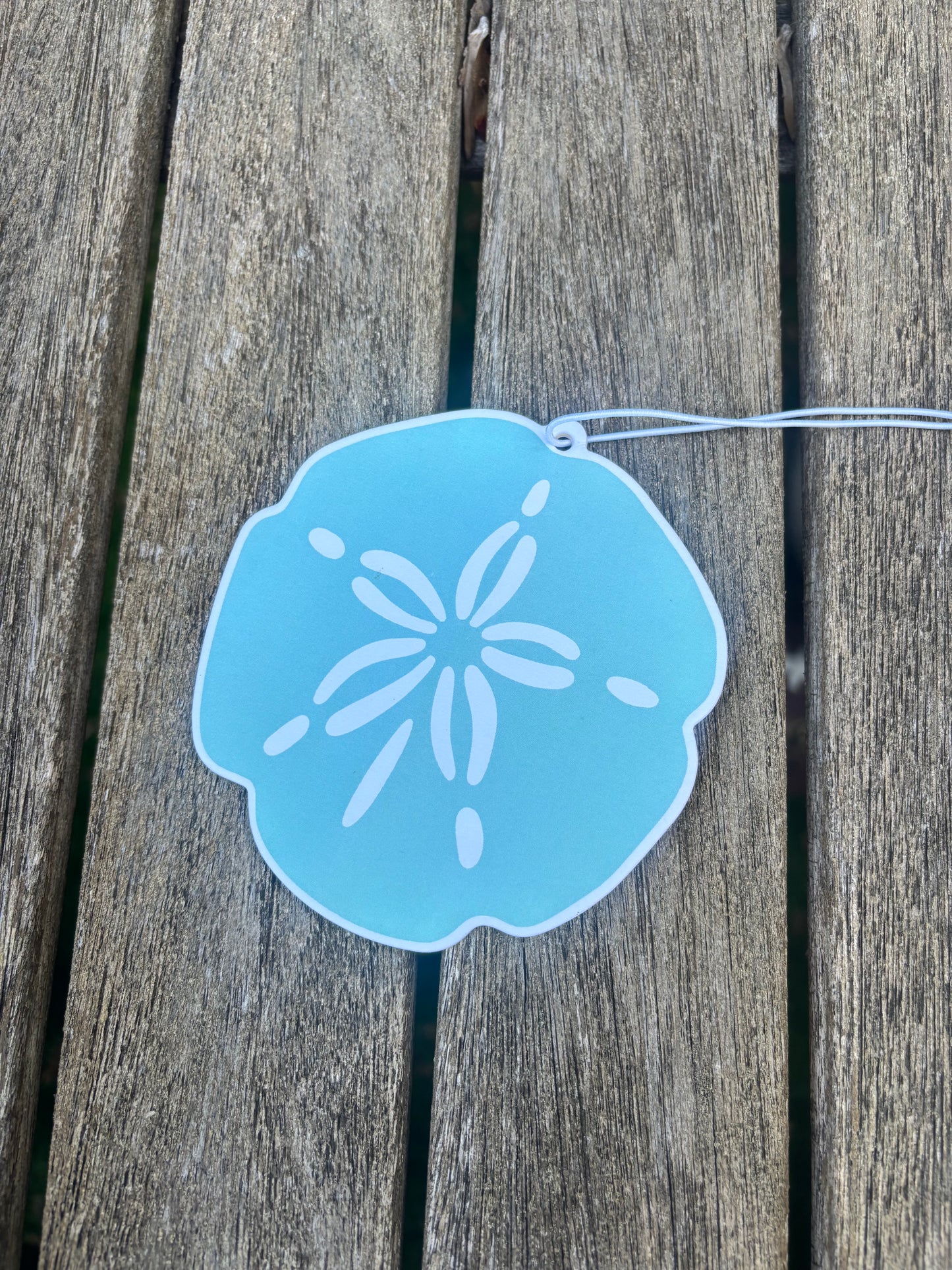 Sand Dollar Air Freshener