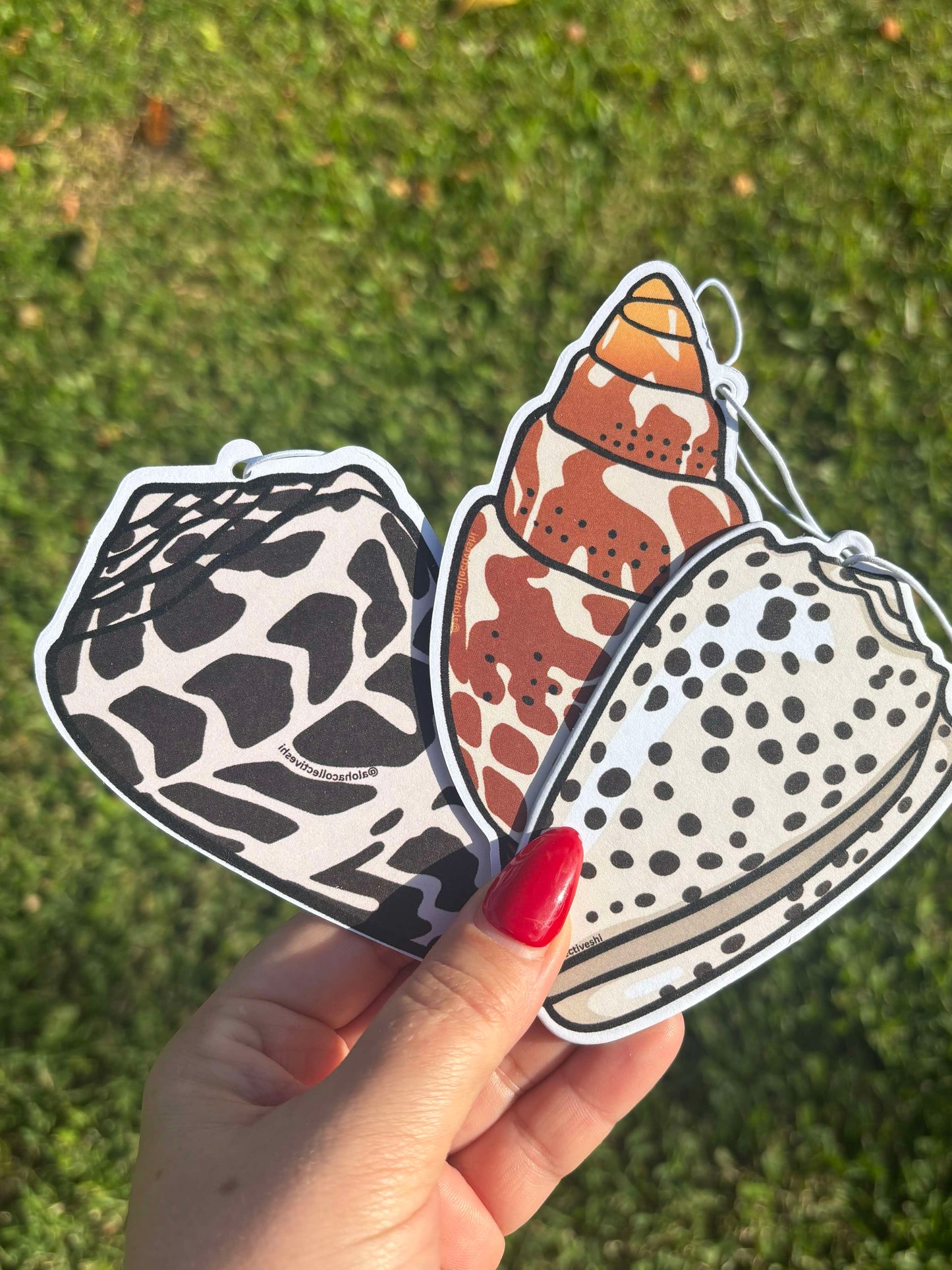 Miter Shell, Air freshener