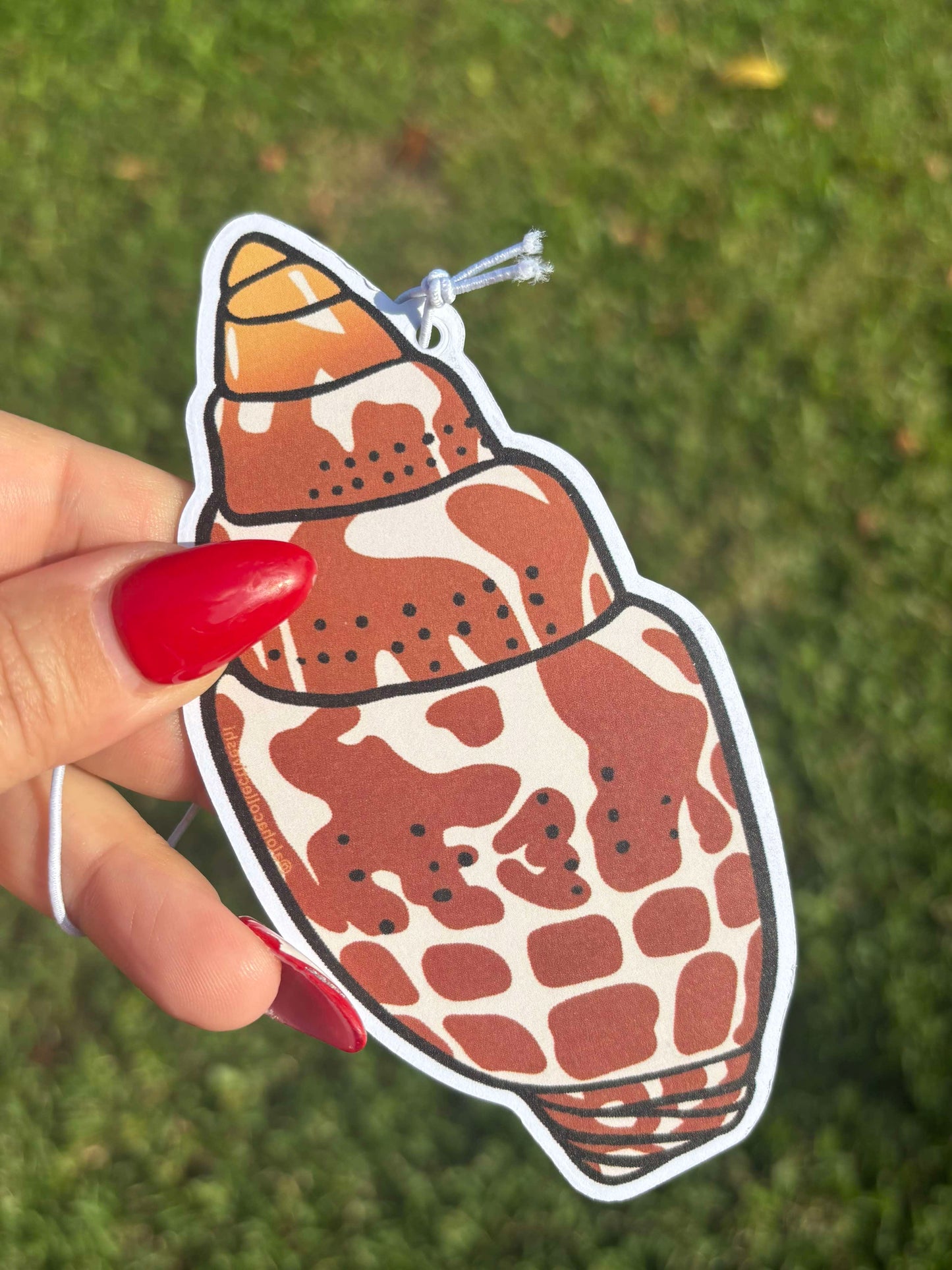 Miter Shell, Air freshener